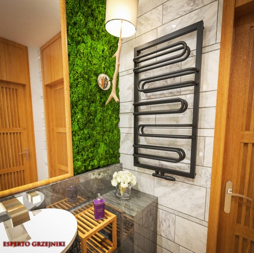 Grzejnik-Herkules-Wizualizacja