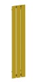 Pit Pion 120x23 Złoty.jpg