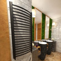 Grzejnik łazienkowy drabinka ZENEK + 